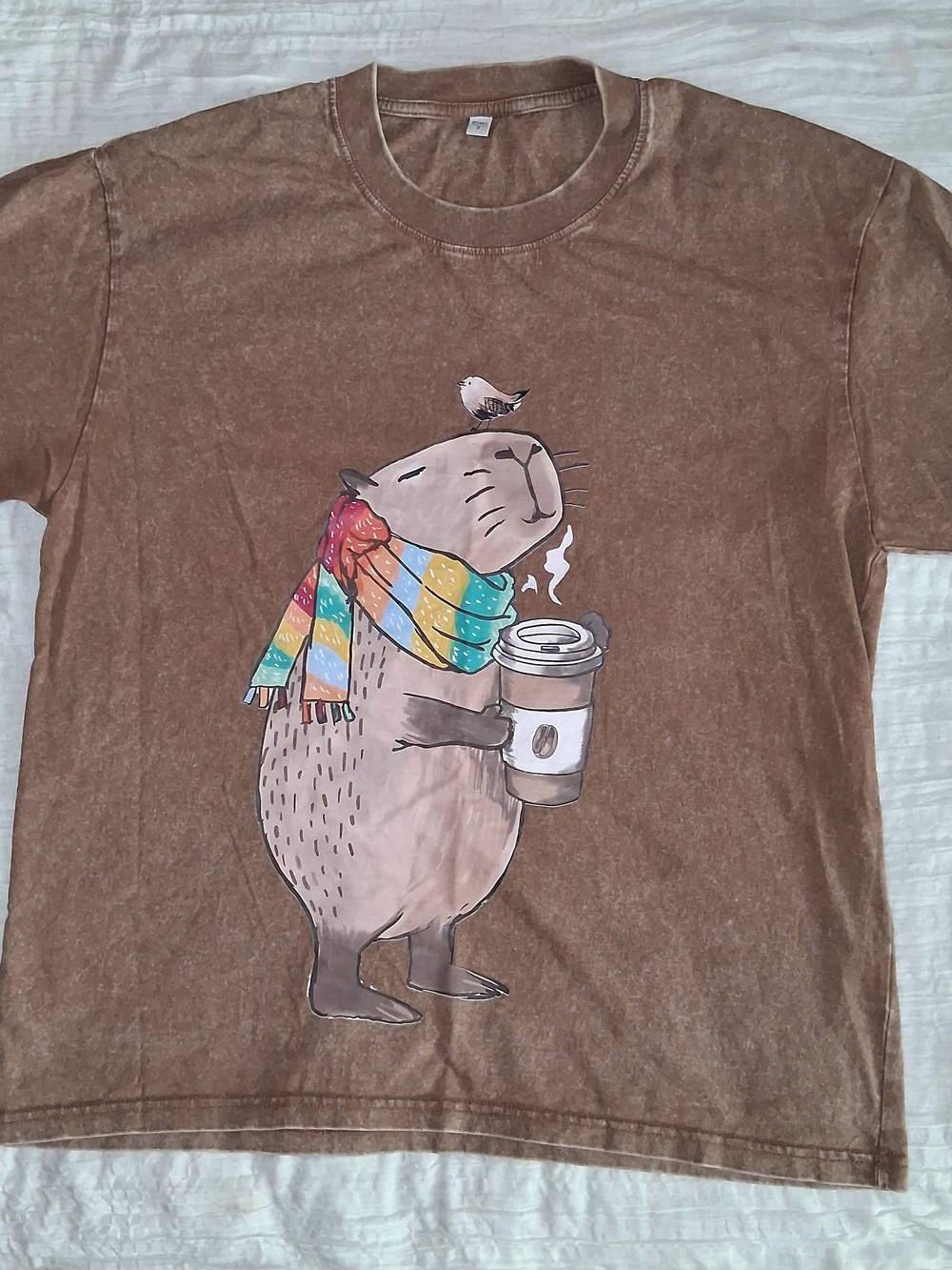 Source Unknown Brown Graphic Tee with Colorful Scarf Capybara